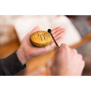 Meinl Sonic Energy Pocket Gold A Major 6 Notes 7.6 cm