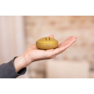 Meinl Sonic Energy Pocket Gold A Major 6 Notes 7.6 cm