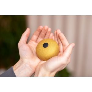 Meinl Sonic Energy Pocket Gold A Major 6 Notes 7.6 cm