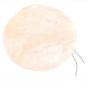 Meinl TS-C-15 head for ID3GO