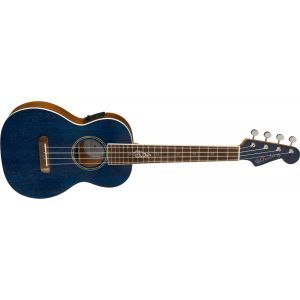 Fender Dhani Harrison