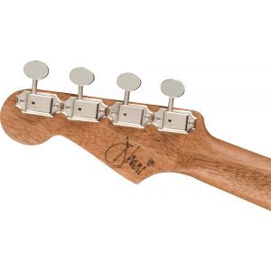 Fender Dhani Harrison