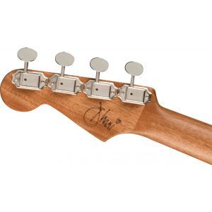 Fender Dhani Harrison Turquoise