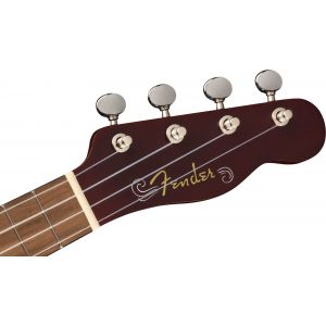 Fender Venice 2-Color Sunburst