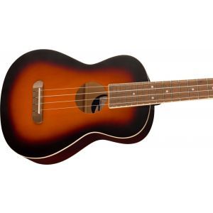 Fender Avalon 2 Color Sunburst