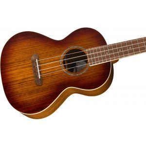 Fender Rincon Cognac Burst