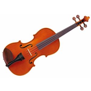 Viori acustice Valida