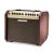Amplificator Chitara Acustica Fishman Loudbox Mini Bluetooth