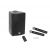 Omnitronic WMAS-08BT MK2 Wireless PA System + UWM-2HH USB Wireless Mic Set
