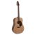 Chitara Acustica Applause By Ovation AAD-96-4