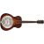 Chitara Acustica Fender PR-180E Resonator WN
