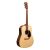 Chitara Acustica Martin And Co D-X2E Mahogany