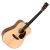 Chitara Acustica Sigma Guitars DM-18