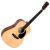 Chitara Acustica Sigma Guitars DM-ST