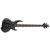 ESP-LTD TA-204 FRX BLKS Tom Arya Signature