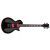 Chitara Electrica ESP-LTD GH-200 BLK Gary Holt