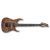 Chitara Electrica Ibanez RGAIX6U ABS Iron Label