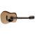 Chitara Acustica Cort AD810 12 Open Pore