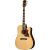 Epiphone Hummingbird Deluxe EC Natural