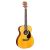 Chitara Electroacustica Martin And Co 000JR-10E