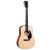 Martin And Co DJR-10E-02 Sitka Sapele
