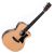 Chitara Electroacustica Sigma Guitars GMC-STE