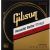 Gibson Phosphor Bronze 12-53