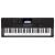 Keyboard Casio CT-X700