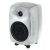 Monitor Activ Genelec 8040 RAW