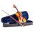 Valida Violin Set V100 4/4 Sunburst