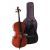Set Violoncel EW Gewa PS403221