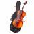 Valida Cello SET V200 4/4