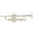 Trompeta Vincent Bach LR180-37G