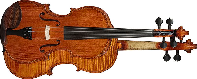 Hora Professional Violin 4/4